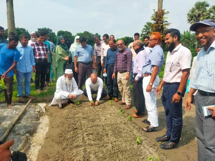 বাকৃবিতে কৃষক প্রশিক্ষণ ও গাজর—টমেটোর বীজ ও চারা বিতরণ